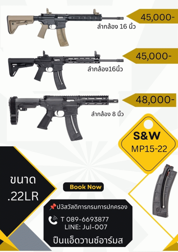 S&W M15-22